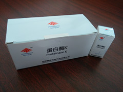 巔峰生物蛋白酶K應用范圍
